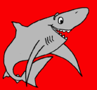 Dibujo Tiburón alegre pintado por frankmragpap