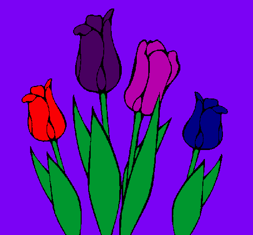 Tulipanes