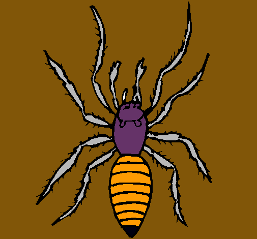 Araña tigre