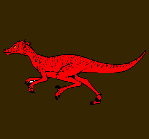 Velociraptor