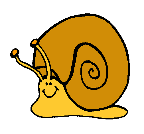 Caracol 