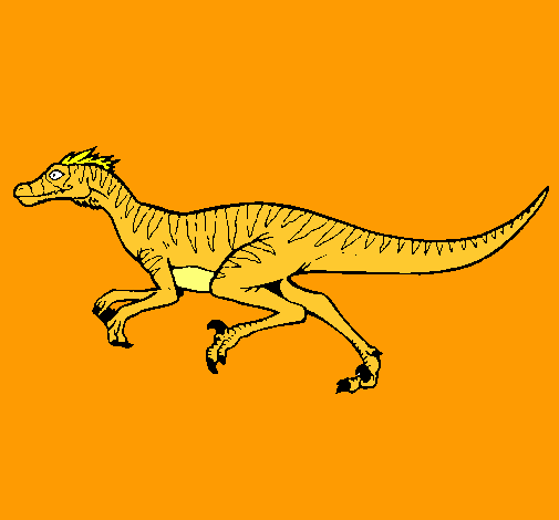 Velociraptor