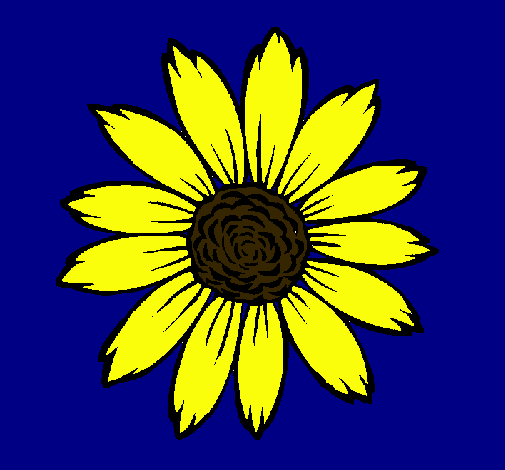 Girasol