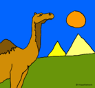 Dibujo Camello pintado por camello
