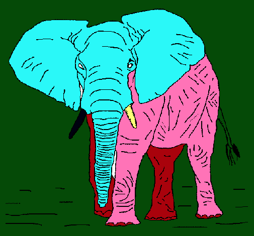 Elefante