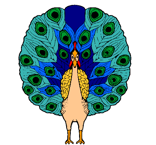 Pavo real