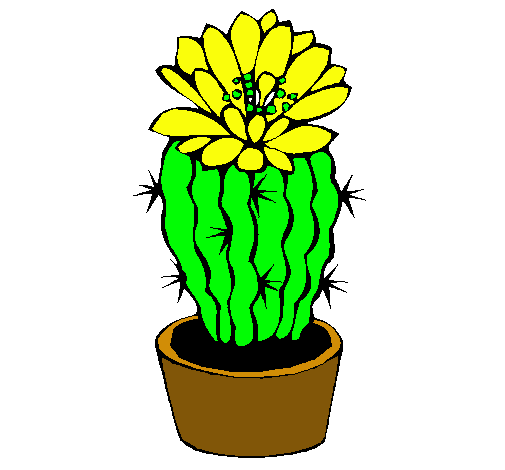 Cactus con flor