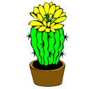 Dibujo Cactus con flor pintado por cxyxnxtxix