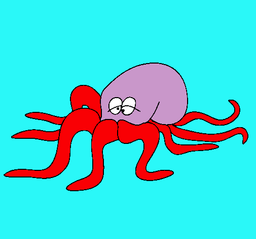 Pulpo