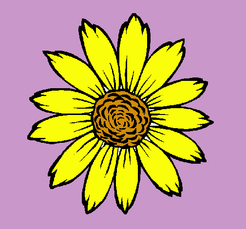 Girasol