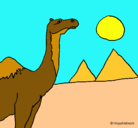 Dibujo Camello pintado por bbbbbbbbbbbb