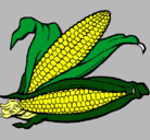 Dibujo Mazorca de maíz pintado por IanShadow