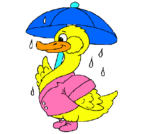 Pato bajo la lluvia