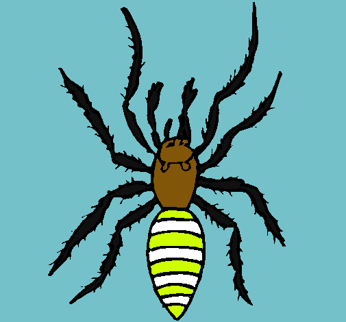 Araña tigre