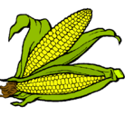 Dibujo Mazorca de maíz pintado por choclooooo