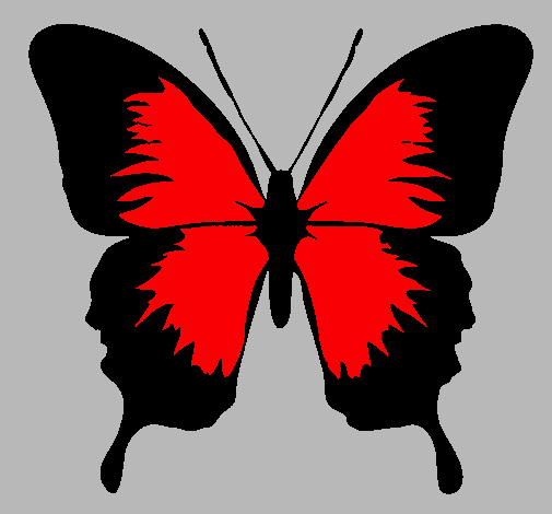 Dibujo Mariposa con alas negras pintado por jesi