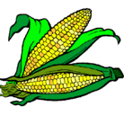 Dibujo Mazorca de maíz pintado por LUCAB