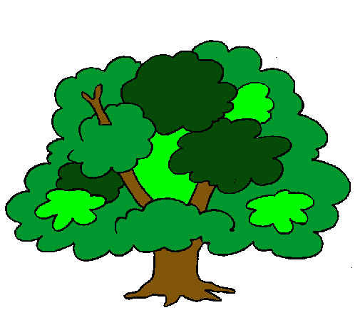 Árbol