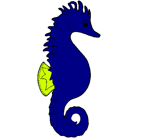 Caballito de mar