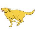 Dibujo Perro corriendo pintado por Lakito