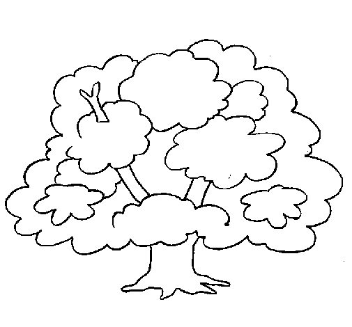 Árbol