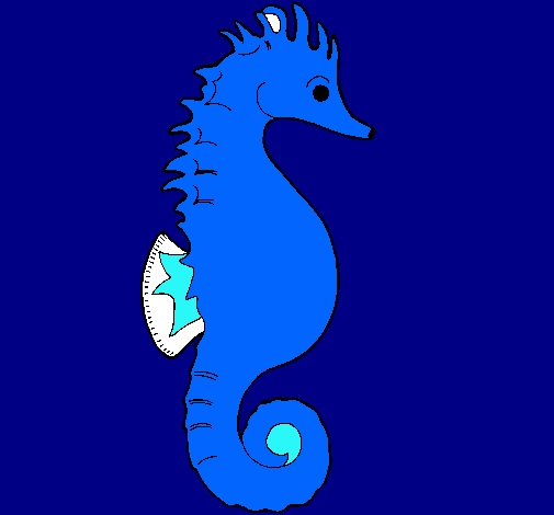 Caballito de mar