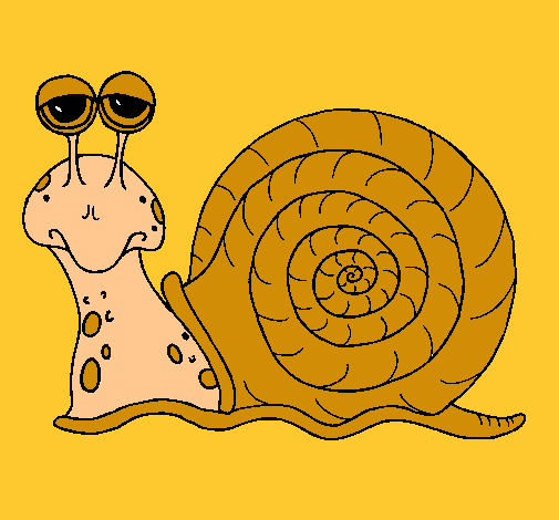 Caracol