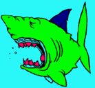 Dibujo Tiburón pintado por noshky