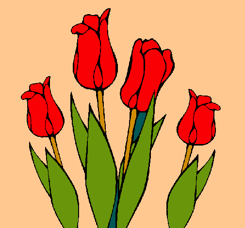 Tulipanes