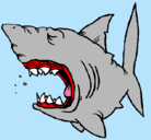 Dibujo Tiburón pintado por tiburon