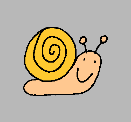 Caracol 4