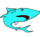 Dibujo Tiburón pintado por aegeyr