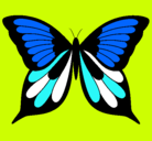 Dibujo Mariposa pintado por currichipand