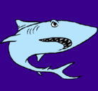 Dibujo Tiburón pintado por TIBU