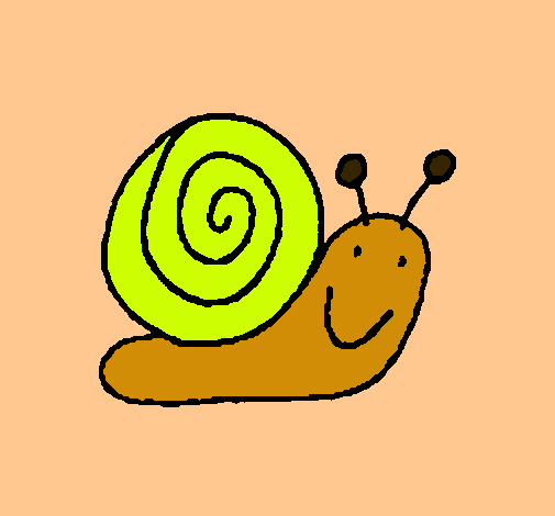 Caracol 4