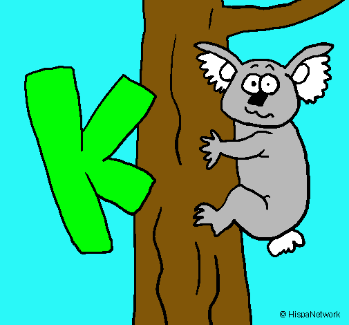 Koala