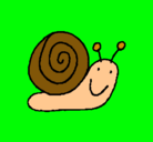 Dibujo Caracol 4 pintado por salbador22