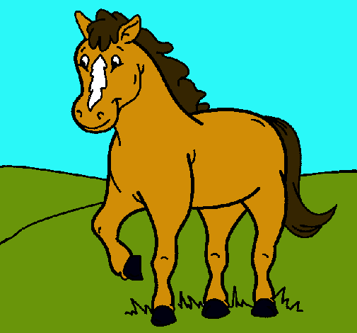 Caballo