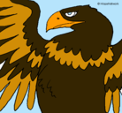 Dibujo Águila Imperial Romana pintado por laura89