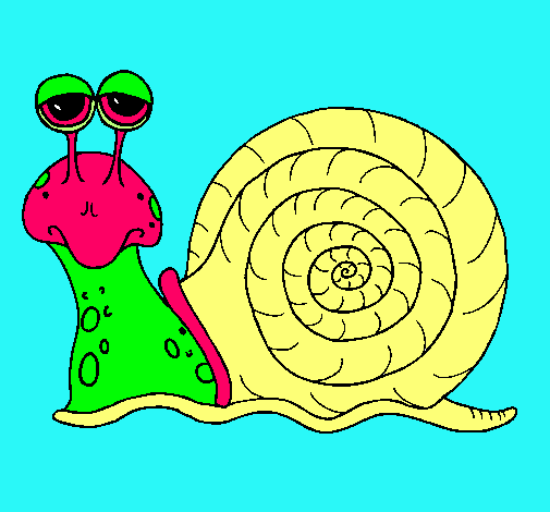 Caracol