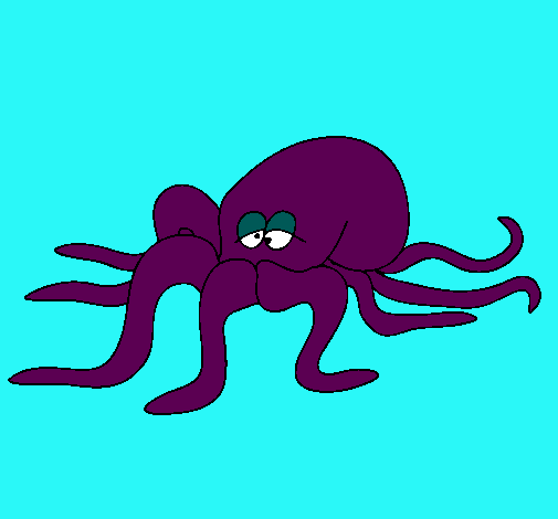 Pulpo