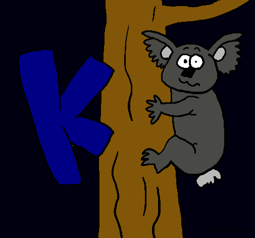 Koala