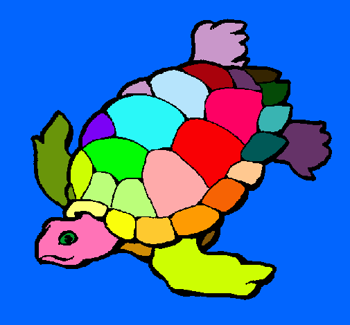 Tortuga