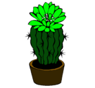 Dibujo Cactus con flor pintado por captus