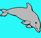 Dibujo Delfín contento pintado por milinda