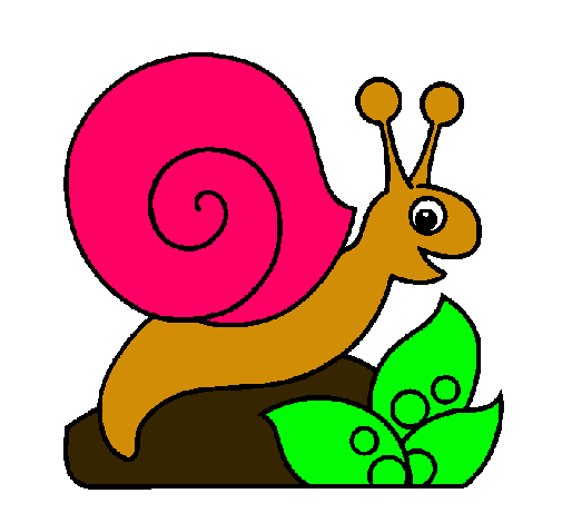 Caracol