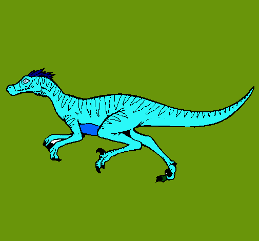 Velociraptor