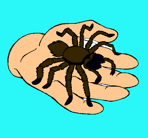 Tarántula