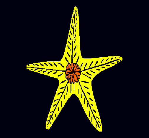 Estrella de mar