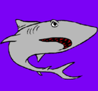 Dibujo Tiburón pintado por LUKE